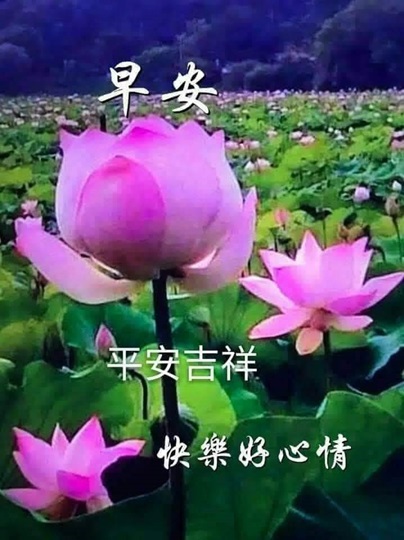 按我可連結至更清楚的圖片